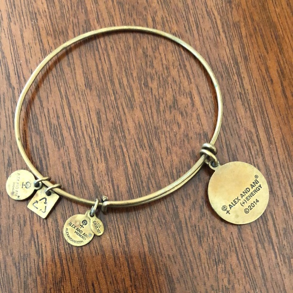 NWT Alex and Ani Women's Today Is An Opportunity charms Bangle Bracelet - Picture 2 of 7